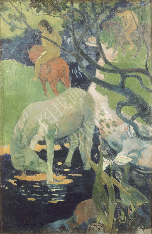 016HTY (1138) 80x123cm